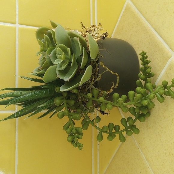Succulent planter - Picture 1 of 2